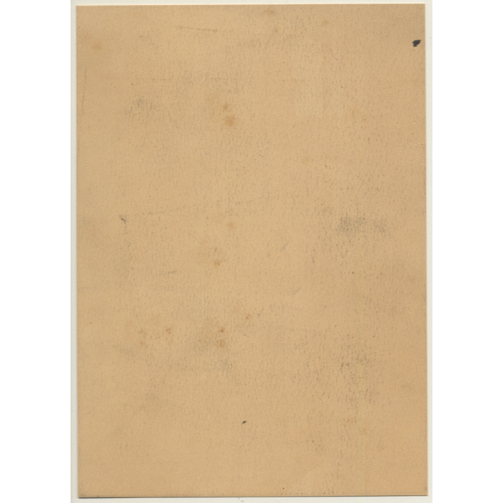 S.A.R. Le Prince Léopold De Belgique (Large Vintage Phototype ~1910s)