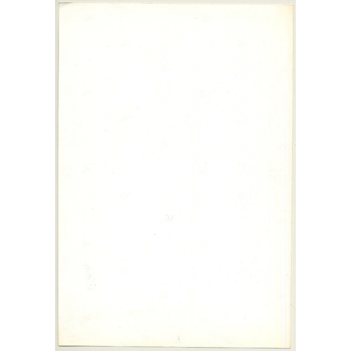 Slim Woman In Long Dress At Gate Of Finca (Large Vintage Photo WOLFGANG KLEIN 1970s)