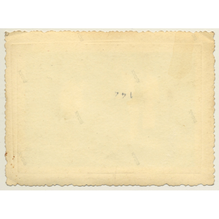 Vilvoorde: Charcuterie Alsbroeck / Pig Mask - Bicycle (Vintage Photo ~1930s/1940s)