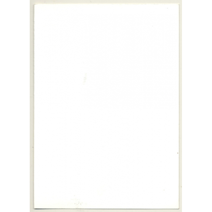 Natural Semi Nude Woman On Meadow / Nylons - No Panties (Vintage Photo GDR ~1980s)