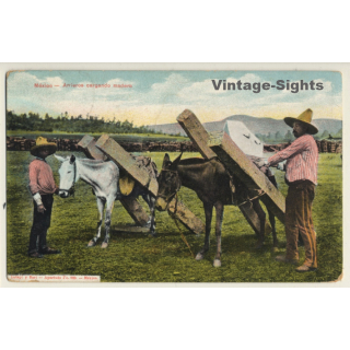 Mexico: Anieros Cargando Madera / Donkey - Packhorse (Vintage PC ~1910s/1920s)
