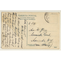 Mexico: Anieros Cargando Madera / Donkey - Packhorse (Vintage PC ~1910s/1920s)