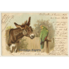 Donkey & Parrot / Mule (Vintage PC 1902)