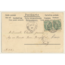 Donkey & Parrot / Mule (Vintage PC 1902)