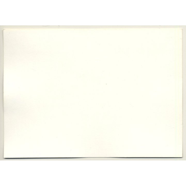 Natural Brunette Semi Nude On Couch / Boobs (Vintage Photo GDR ~1980s)