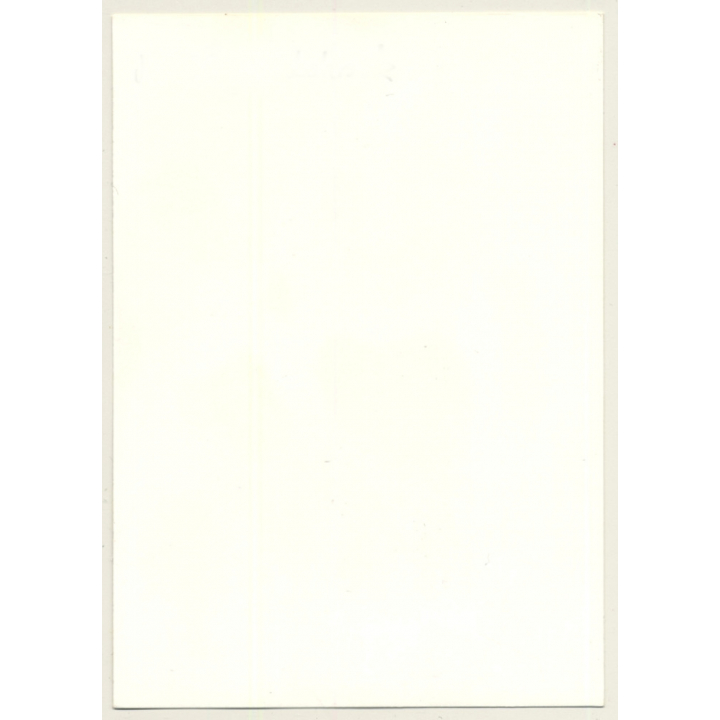 Chubby Natural Nude In Front Of Patterned Wallpaper (Vintage Photo GDR ~1970s/1980s)