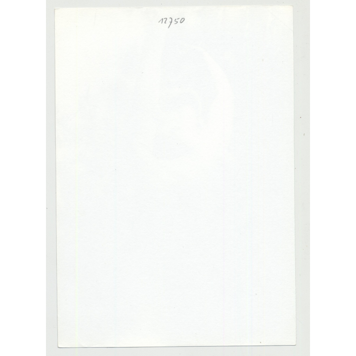 Nude Study Of Female Upper Torso In Forest (Nude Art: DDR B/W 80s)