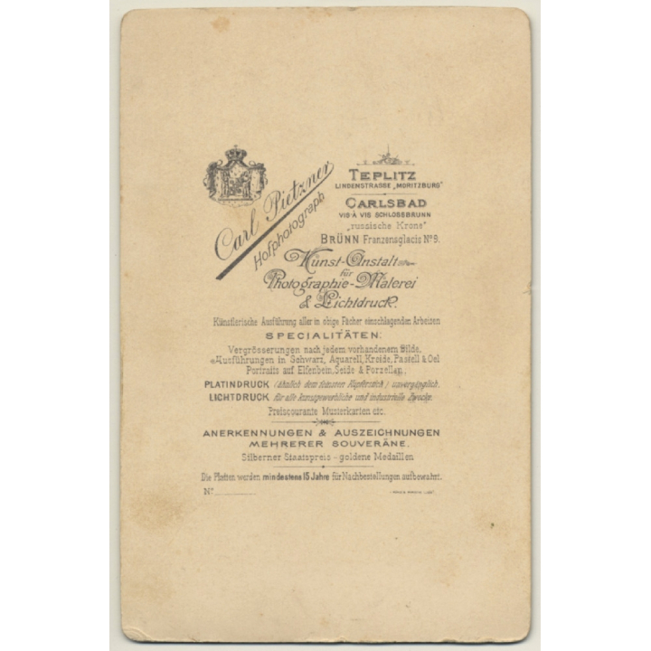 Carl Pietzner / Teplitz: Portrait Of Man With Full Beard (Vintage Cabinet Card 1895)