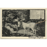 Esel-Barometer / Donkey - Gimmick (Vintage PC 1952)