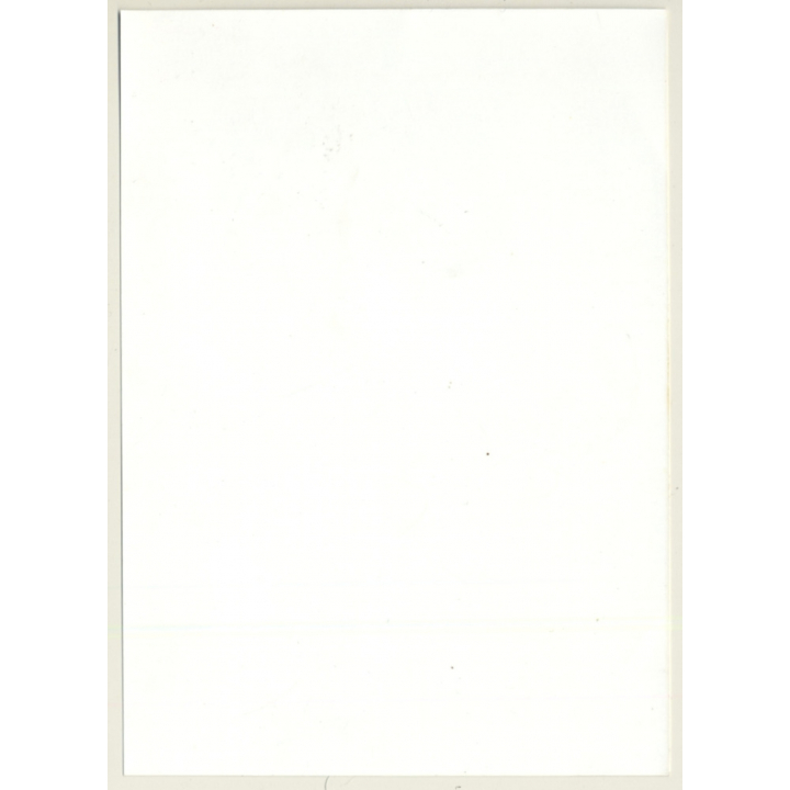 Jerri Bram (1942): Natural Shorthaired Nude Sitting (Vintage Photo ~1970s)