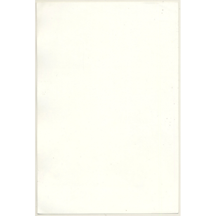 Jerri Bram (1942): Nude Study Of Pregnant Woman Covered In Flowers*2 (Vintage Photo ~1970s)