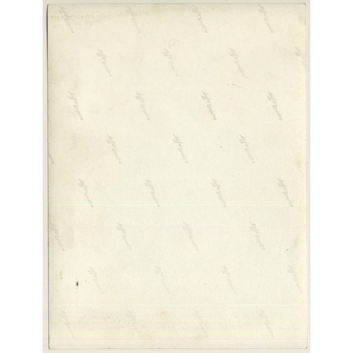 Portrait Of Brunette Woman / Braided Updo - Actress? (Vintage Press Photo ~1940s)