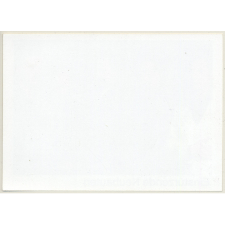 Einstürzende Neubauten / Blixa Bargeld (Vintage Press Photo 2003)