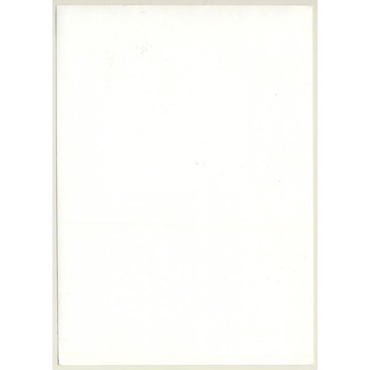 Jerri Bram (1942): Natural Nude Behind Bamboo Fence / Sun Rays (Vintage Photo ~1970s)