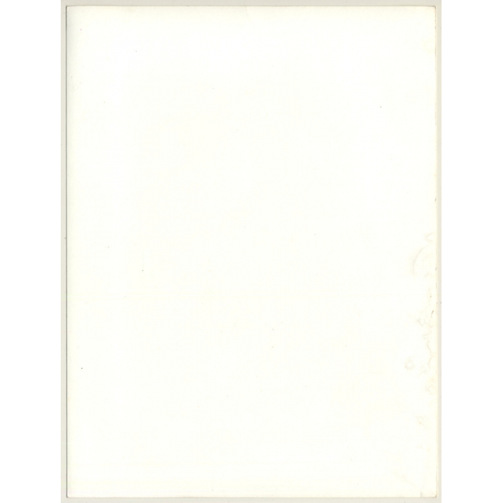 Jerri Bram (1942): Close-up Of Pretty Topless Female On Meadow (Vintage Photo ~1970s)