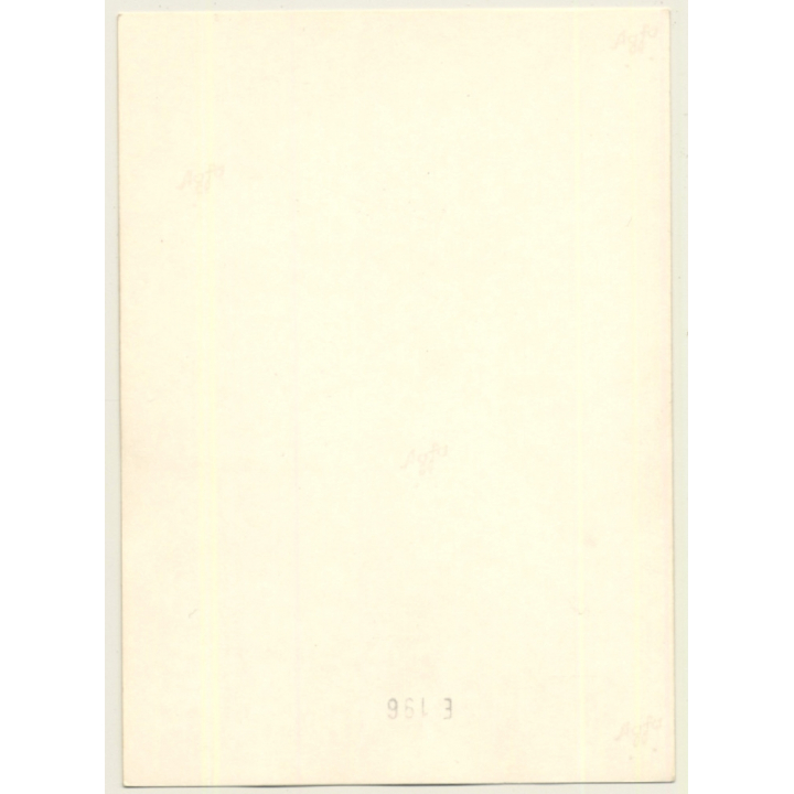 Nude Brunette Beauty Kneeling / Boobs (Vintage Photo GDR ~1960s/1970s)