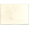 Androgynous Nude On Sheepskin / 70s Wallpaper (Vintage Photo GDR ~1980s)