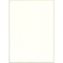Profile Of Blonde Nude Woman / Boobs - 70s Wallpaper (Vintage Photo GDR ~1980s)