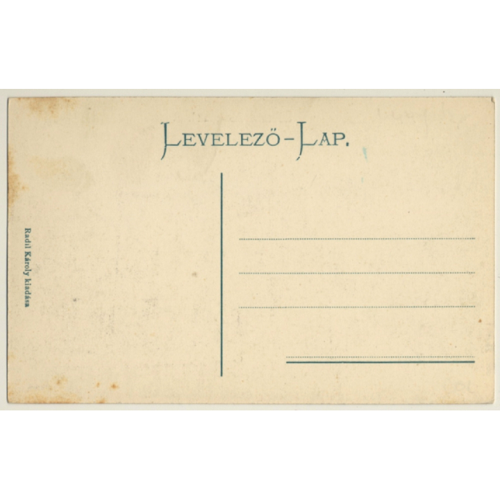 Sárospatak / Hungary: Reformed College / Református Föiskola (Vintage PC)