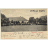 Kisbér / Hungary: 7 Year Old Mares / Stud (Vintage PC 1903)