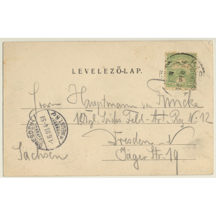 Kisbér / Hungary: 7 Year Old Mares / Stud (Vintage PC 1903)