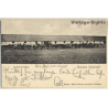 Kisbér / Hungary: Horses / Stud (Vintage PC 1903)