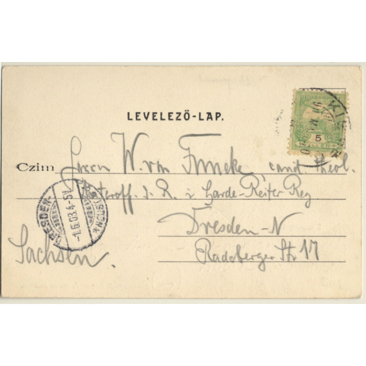 Kisbér / Hungary: Horses / Stud (Vintage PC 1903)