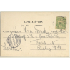 Kisbér / Hungary: Horses / Stud (Vintage PC 1903)