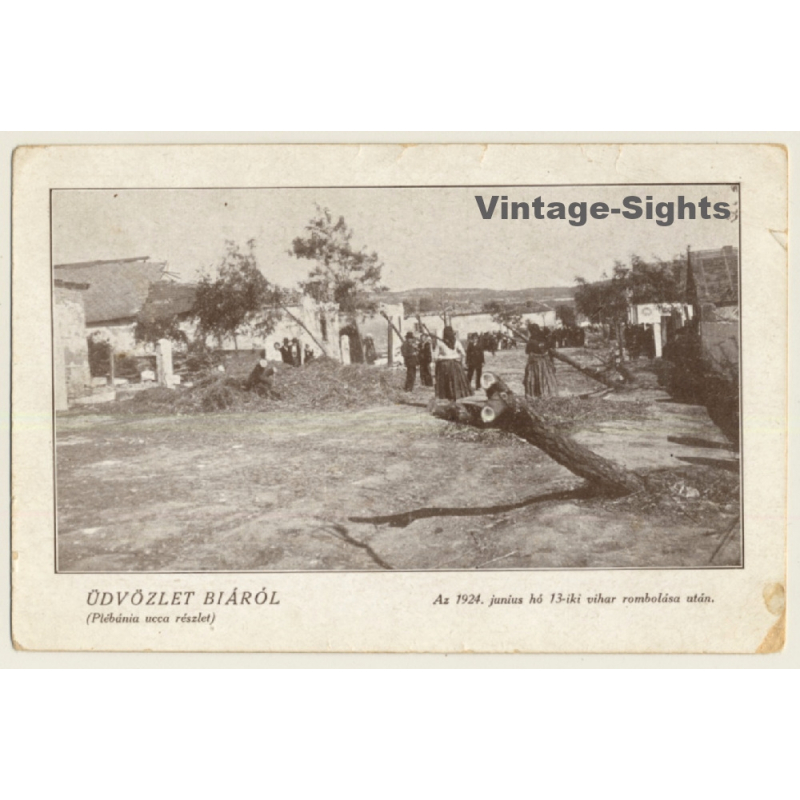 Biá / Hungary: Plébánia Utca / 1924 Junius 13-1 Vihar Rombolasá Után (Vintage PC)
