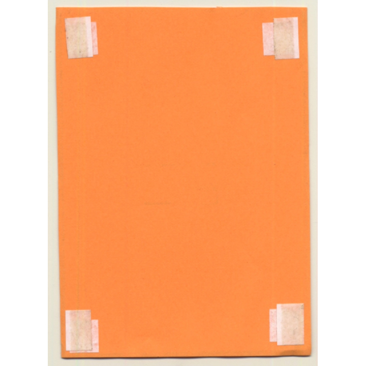 R.Folco: Slim Nude Female & Kitten On Wicker Chair*1 (Vintage Photo France 1980s)