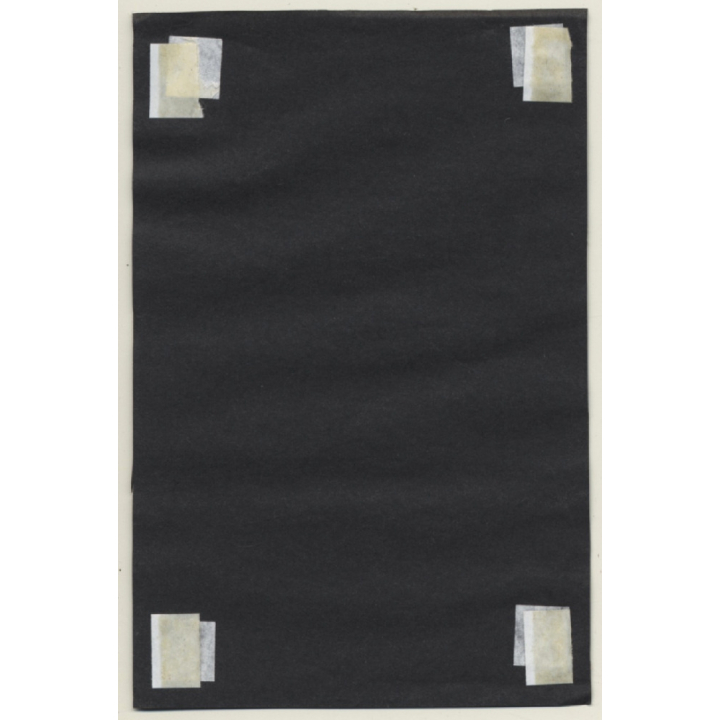 R.Folco: Slim Nude Female & Kitten On Wicker Chair*2 (Vintage Photo France 1980s)