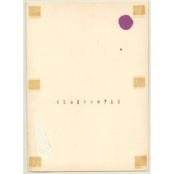 R.Folco: Slim Semi Nude Female In Fishnets (Vintage Photo France 1980s)