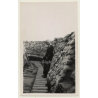Dixmude: Élisabeth En Bavière*2 / La Reine Au Boyau De La Mort WW1 (Vintage Photo 1917)