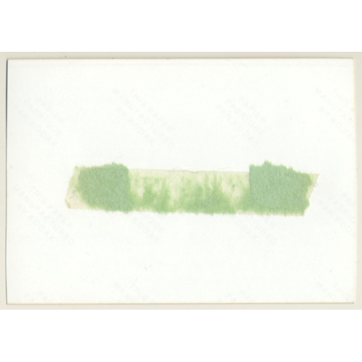 Natural Busty Nude In Lake*3 / Reed - Smile (Vintage Photo Germany ~1980s)