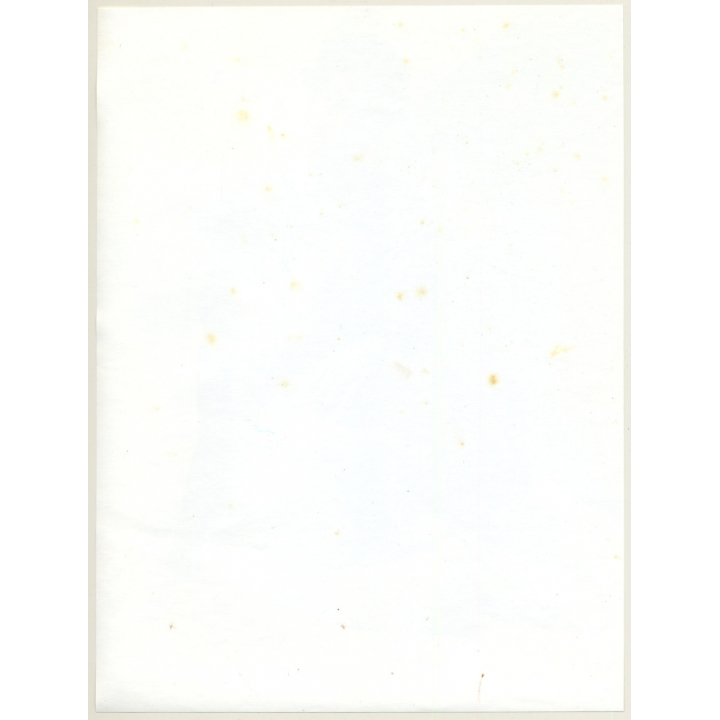 Jerri Bram (1942): Nude Study Of Natural Couple*1 (Large Vintage Photo ~1970s)