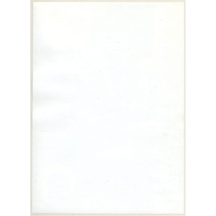 Jerri Bram (1942): Nude Study Of Natural Couple*2 (Large Vintage Photo ~1970s)