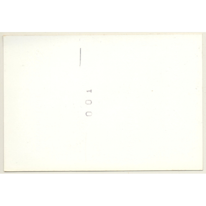 Natural Nude Blonde Relaxing On Meadow / Tan Lines (Vintage Photo Germany ~1980s)