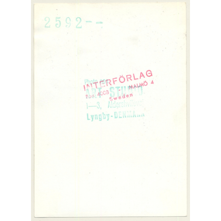 Natural Nude Woman Sitting On Meadow / Smile (Vintage Photo Denmark ~1950s)