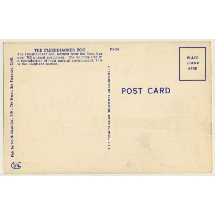 San Francisco: Fleishhacker's Zoo / Elephants (Vintage Linen PC 1940s)