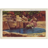 Chicago: Brookflied Zoo / Elephant (Vintage PC 1940s)