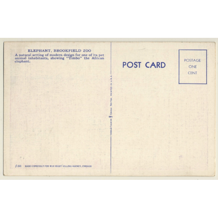 Chicago: Brookflied Zoo / Elephant (Vintage PC 1940s)