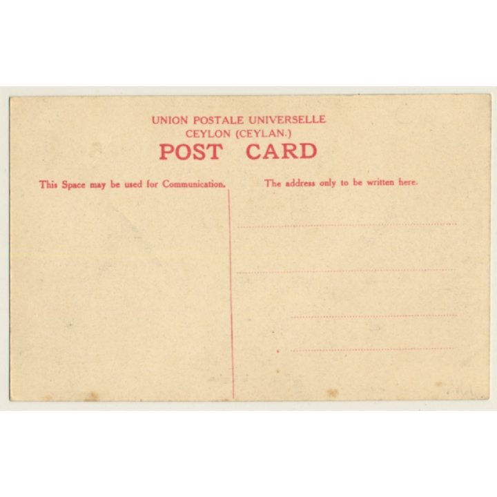 Sri Lanka: Elephants In Ceylon (Vintage PC 1910s71920s)