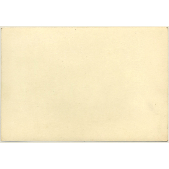 Rear View Of Ford Galaxie 500 / Moroccan Number Plate (Vintage Photo 1964)