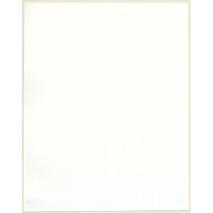 Irving Klaw: Betty Page In Lace Body & Fishnets 7681 / Pin-Up - BDSM (Large Vintage Photo USA)