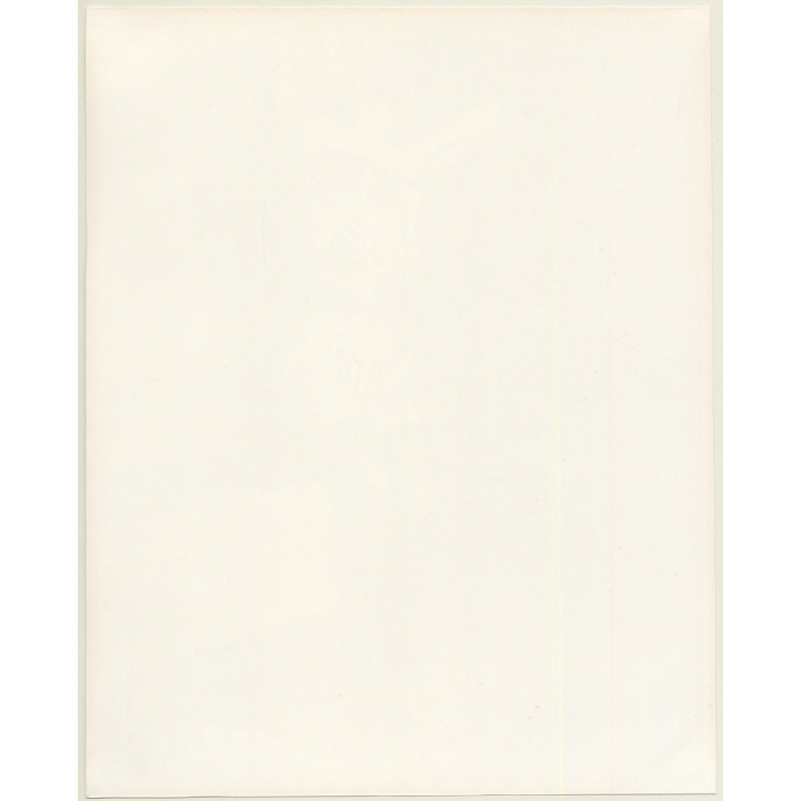 Irving Klaw: Betty Page In Bikini Dancing V-849 / Pin-Up - BDSM (Large Vintage Photo USA)