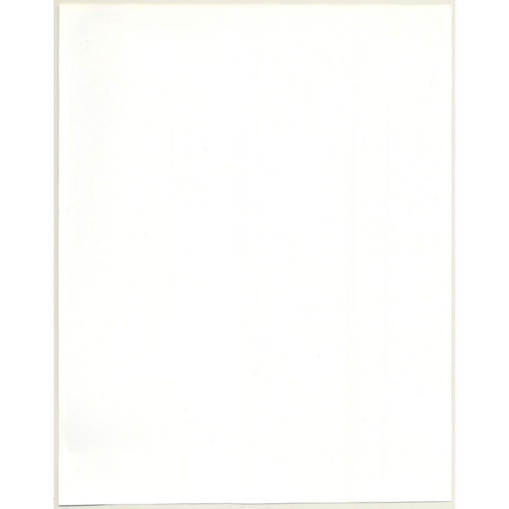 Irving Klaw: Betty Page In The Squats - Gloves HH-176 / Pin-Up - BDSM (Large Vintage Photo USA)