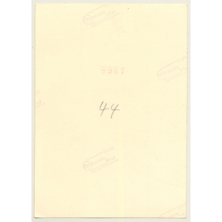 Natural Brunette Nude Female On Beach Rock (Vintage Photo ~1950s/1960s)