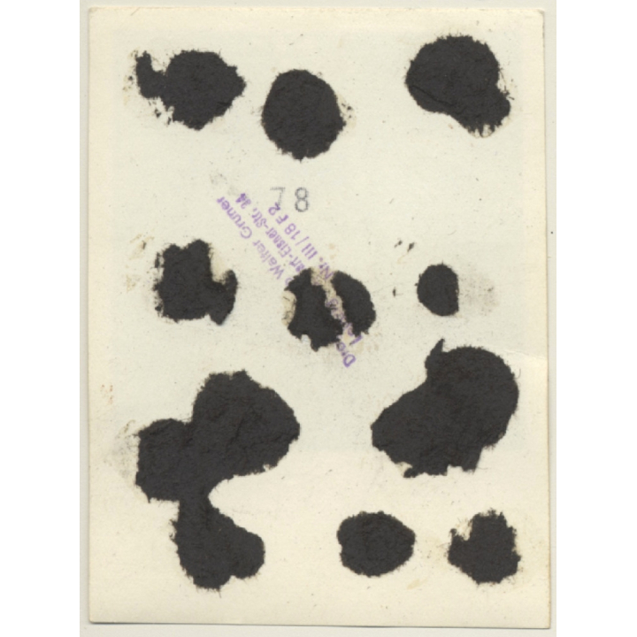 Natural Nude Woman On Meadow / Boobs Flash (Vintage Photo GDR ~1960s)