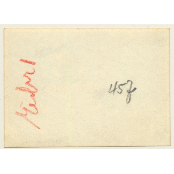 Studentenverbindung Mitglieder - Burschenschaft  (Vintage Photo 1920s)