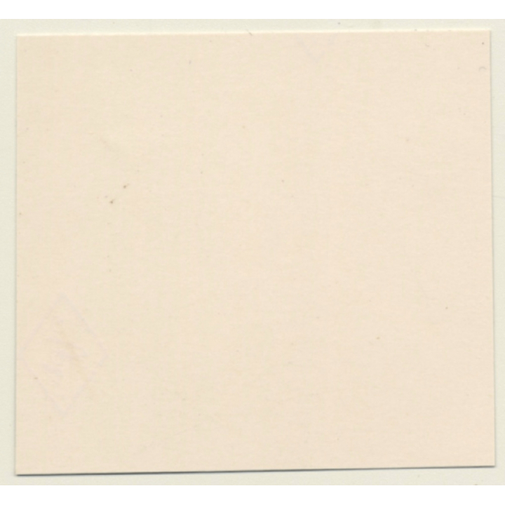 Semi Nude Transsexual Strip Dancer*15 (Vintage Contact Sheet Photo 1980s)